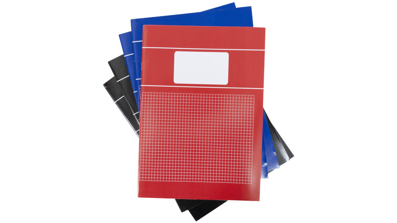 Schrift  SOHO Basic A4 ruit 5x5mm 80 pagina's 60gr assorti 5 stuks