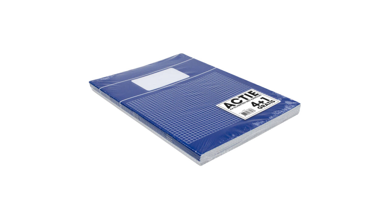 Schrift  SOHO Basic A4 ruit 5x5mm 80 pagina's 60gr assorti 5 stuks