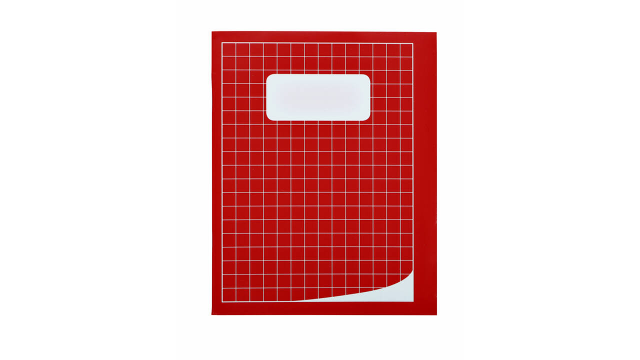 Schrift Qbasic 210x165mm ruit 10mm 80blz 70gr assorti