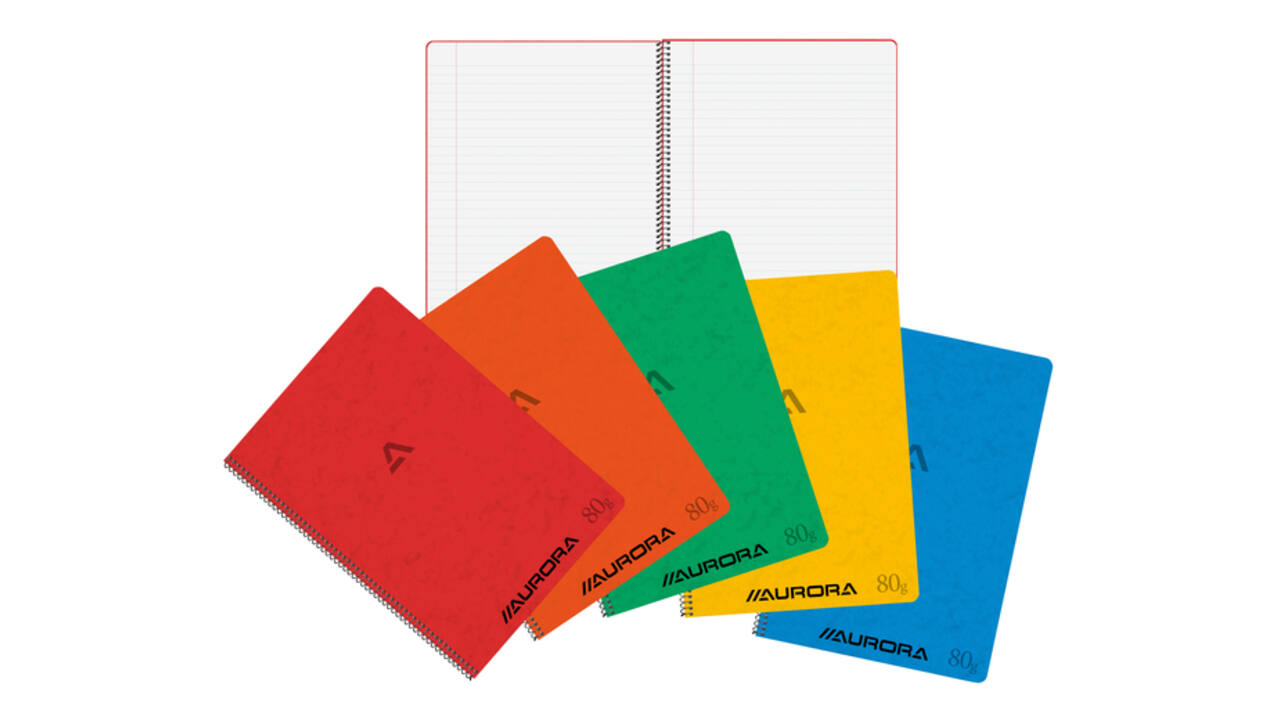 Schrift Aurora A4 lijn 120 pagina's 80gr assorti