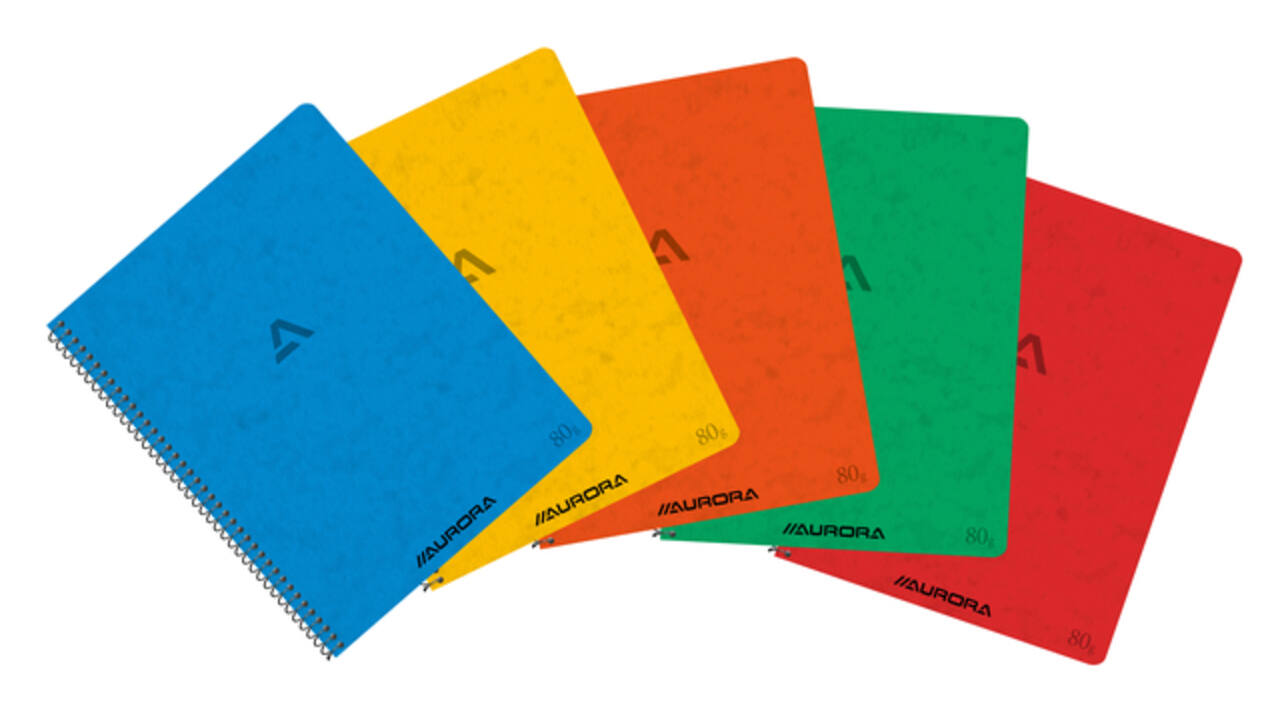 Schrift Aurora 210x165mm ruit 5x5mm 120 pagina's 80gr assorti