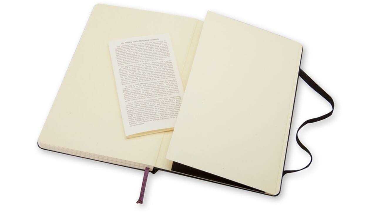 Notitieboek Moleskine large 130x210mm ruit 5x5 hard cover zwart