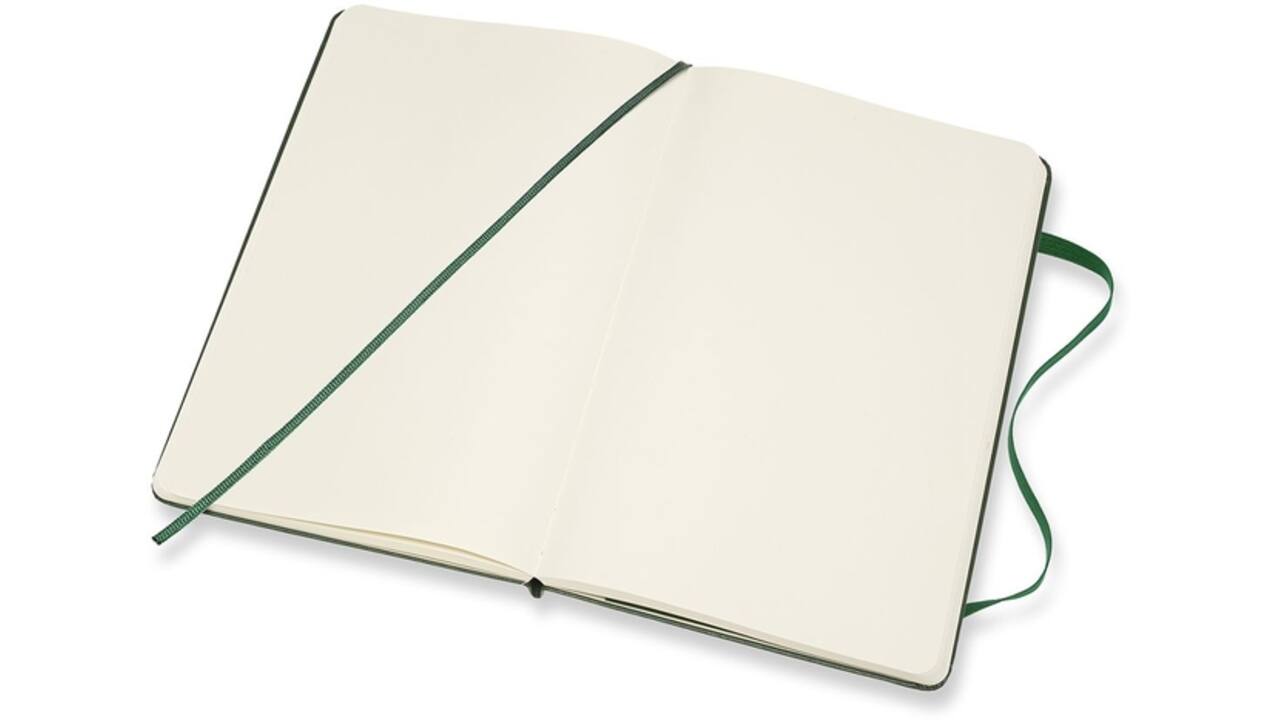 Notitieboek Moleskine large 130x210mm blanco hard cover myrtle green