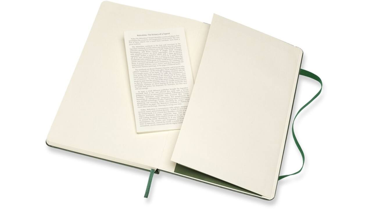 Notitieboek Moleskine large 130x210mm blanco hard cover myrtle green