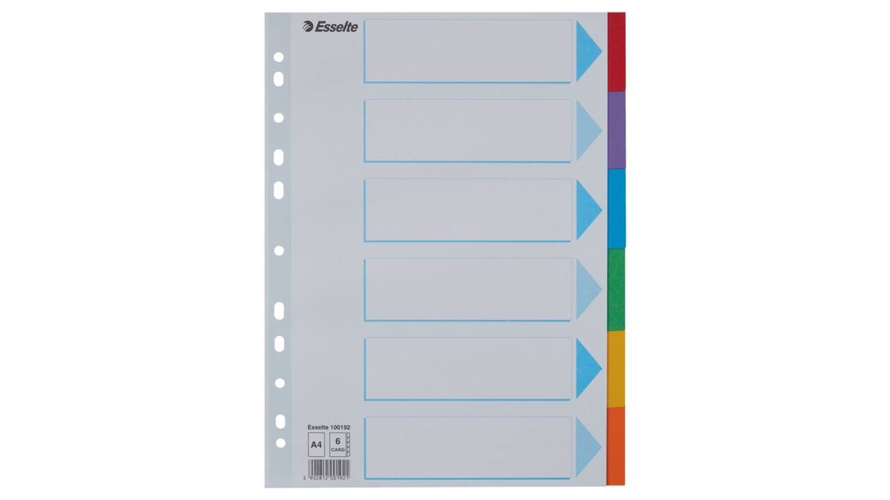 Tabbladen Esselte Standaard A4 6-delig karton 11-rings met voorblad assorti