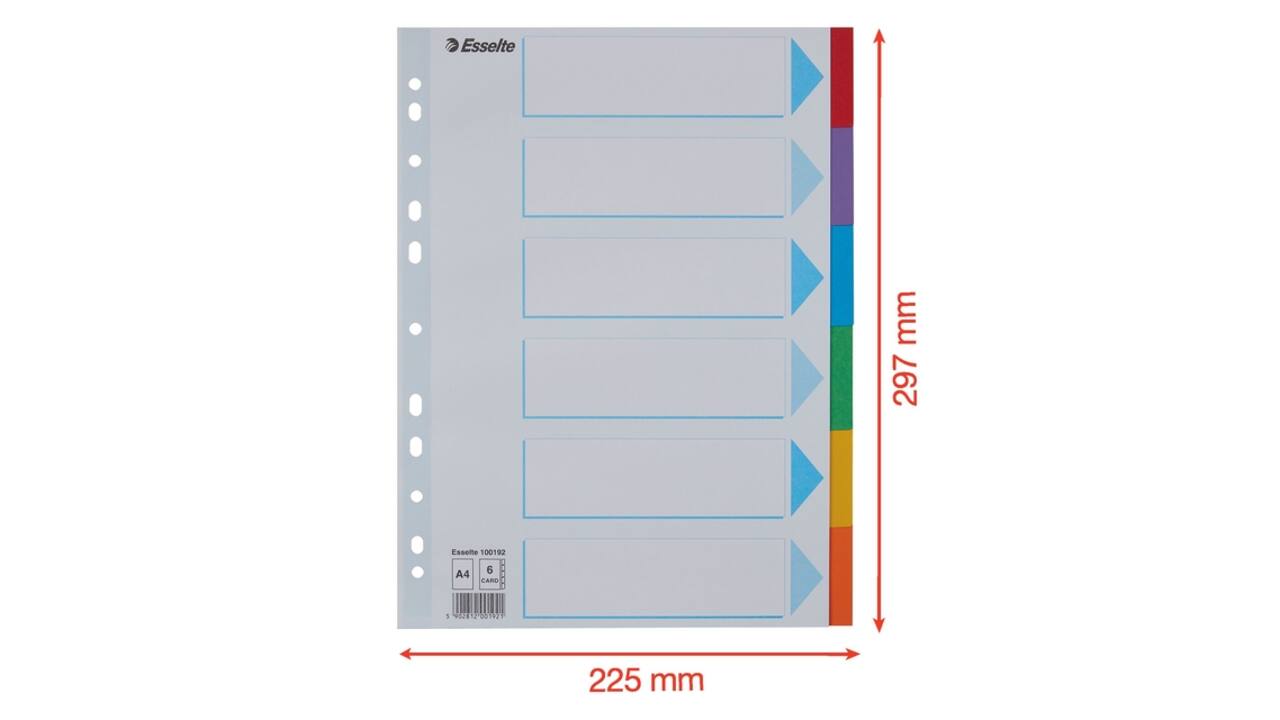 Tabbladen Esselte Standaard A4 6-delig karton 11-rings met voorblad assorti