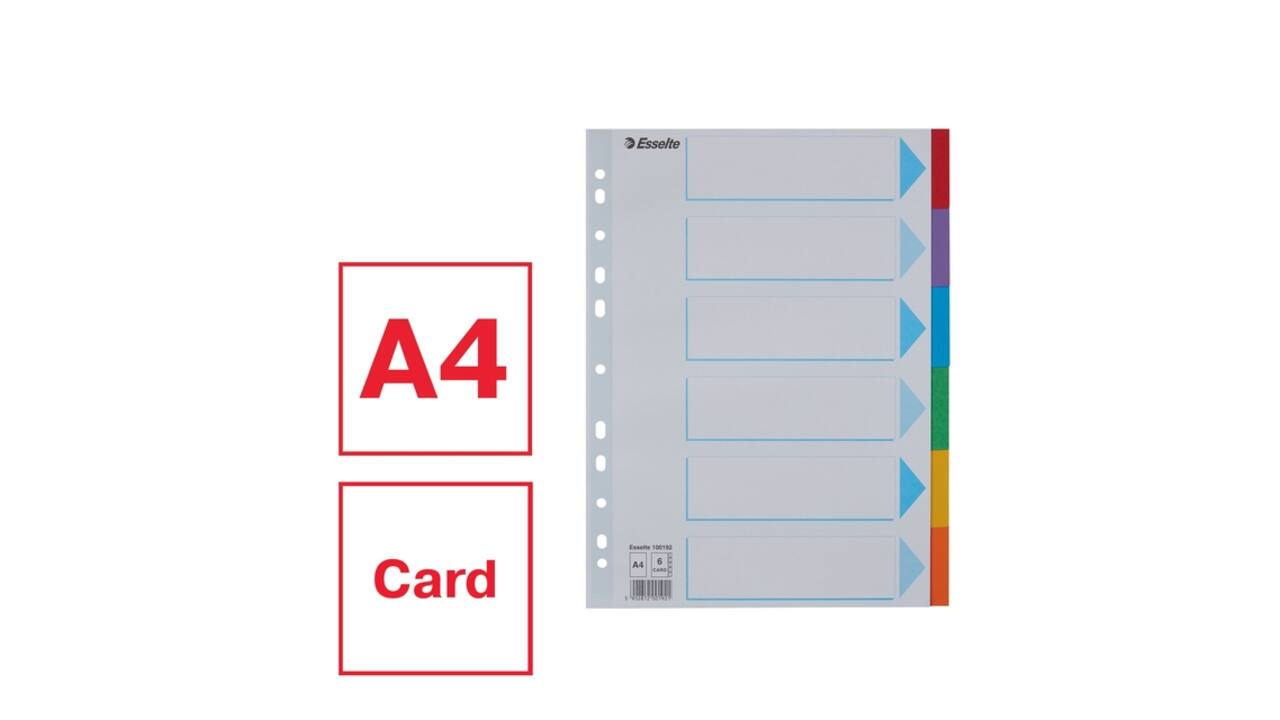 Tabbladen Esselte Standaard A4 6-delig karton 11-rings met voorblad assorti