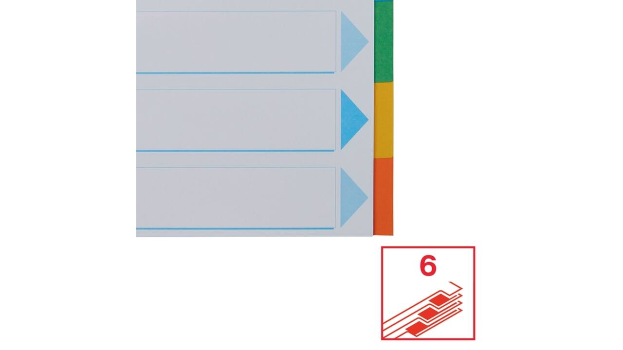 Tabbladen Esselte Standaard A4 6-delig karton 11-rings met voorblad assorti
