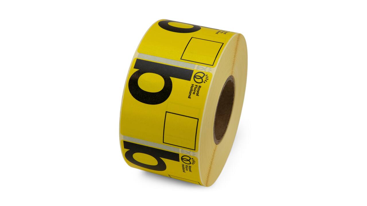 Etiket 50x50 FH Aanvoerbrief B kern 40, 1000 rol, permanent