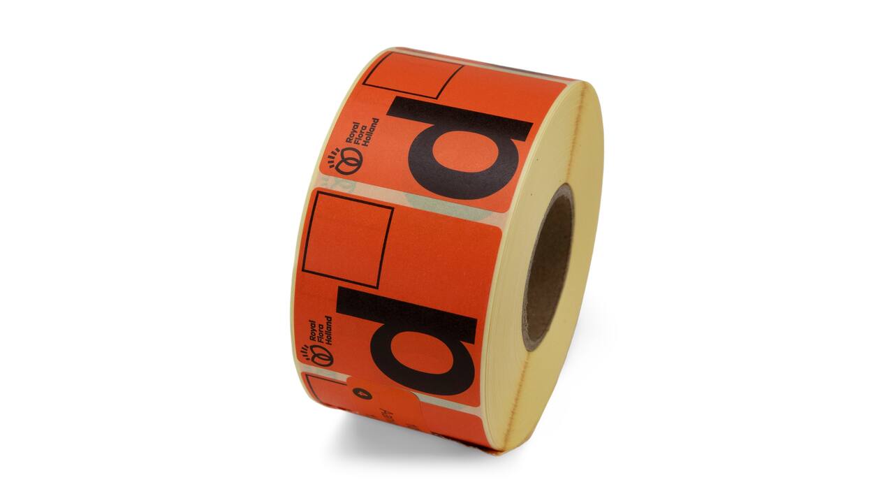 Etiket 50x50 FH Aanvoerbrief D kern 40, 1000 rol, permanent