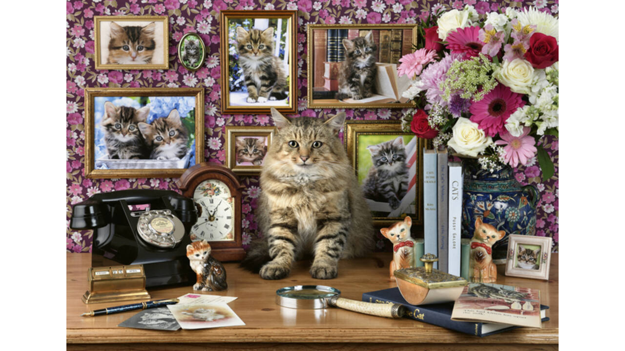 Puzzel Ravensburger Mijn katjes 1000 stukjes