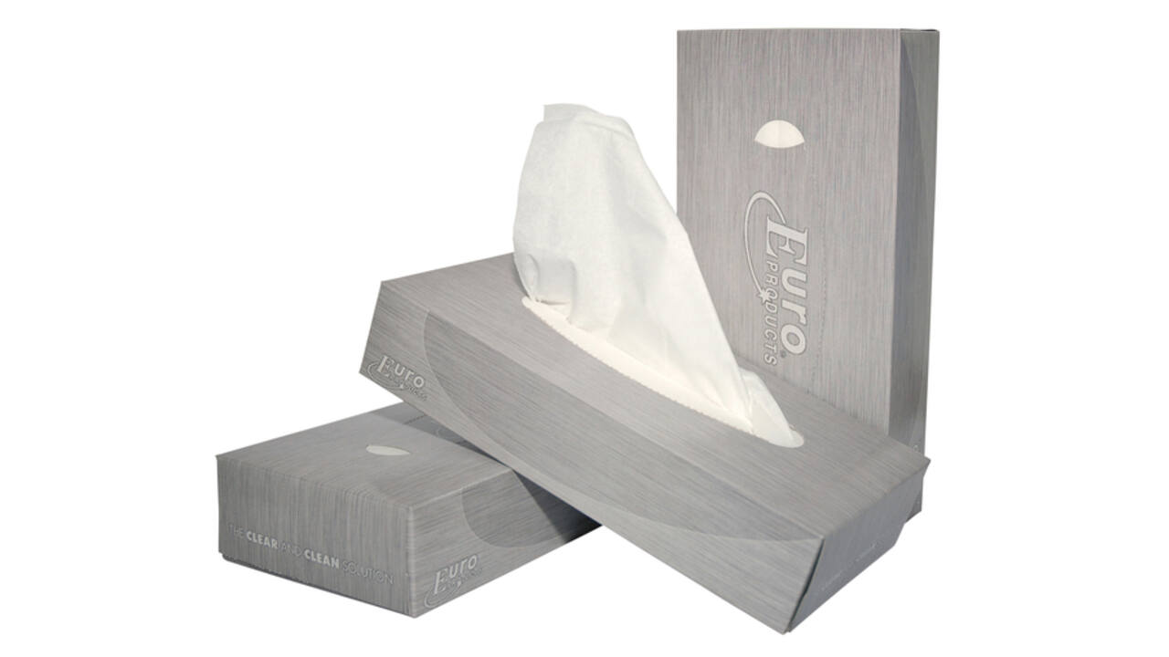 Facial tissues Euro Products 2-laags 100 vel wit 140040