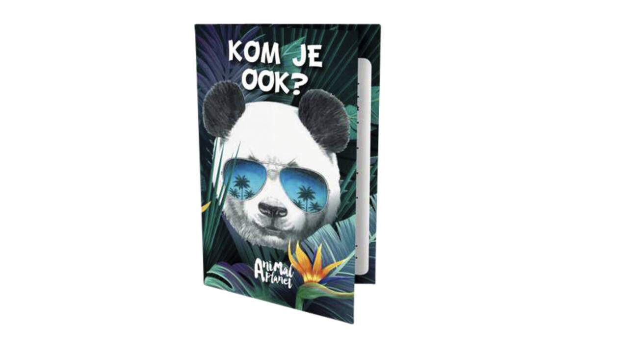 Uitnodigingen Panda 13.5x9cm