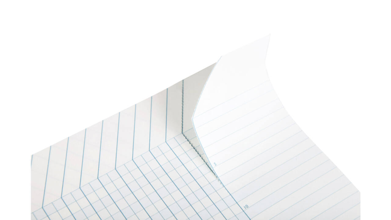 Puntenboek leraren Clairefontaine A4 72 pagina's 110gr meertalig assorti
