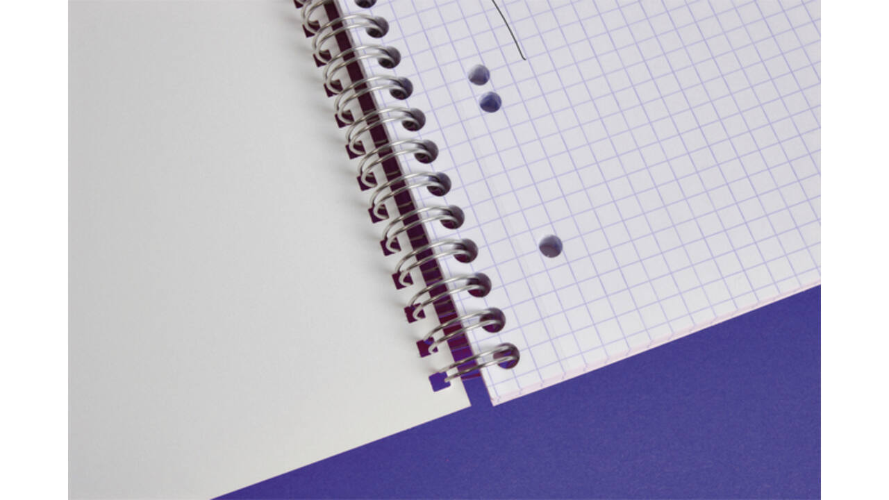 Collegeblok Clairefontaine Studium A5+ ruit 5x5mm 6-gaats 80 pagina's assorti