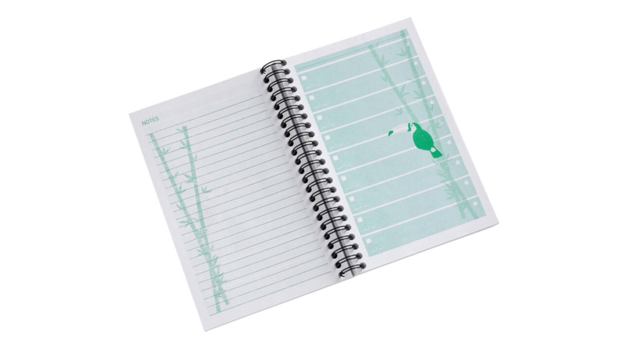 Things to do Djois Atlanta recycled papier Jungle 125x195mm 100 vel 70gr groen 2 stuks