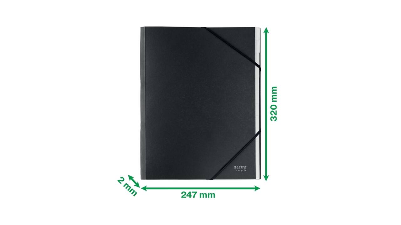 Sorteermap Leitz Recycle 12 tabs karton zwart