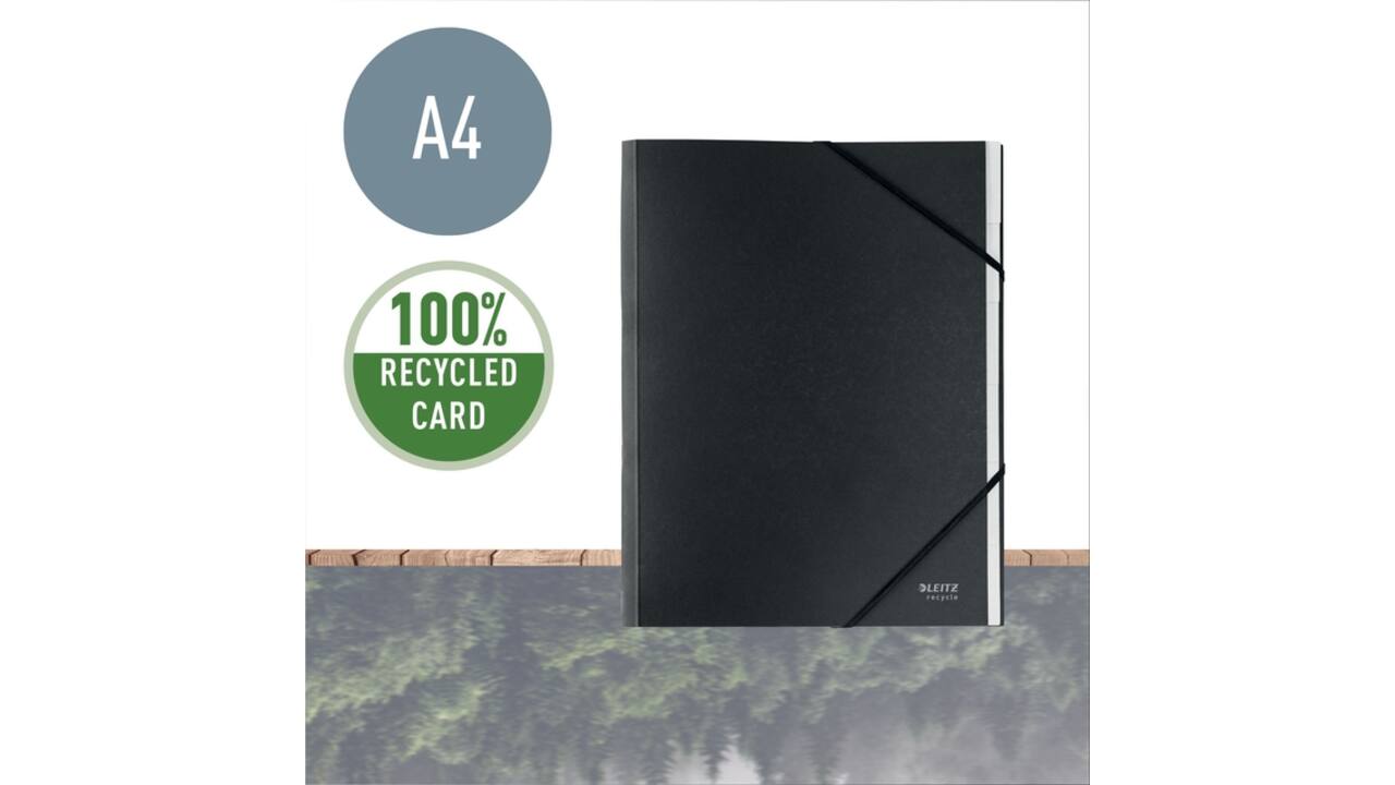 Sorteermap Leitz Recycle 6 tabs karton zwart