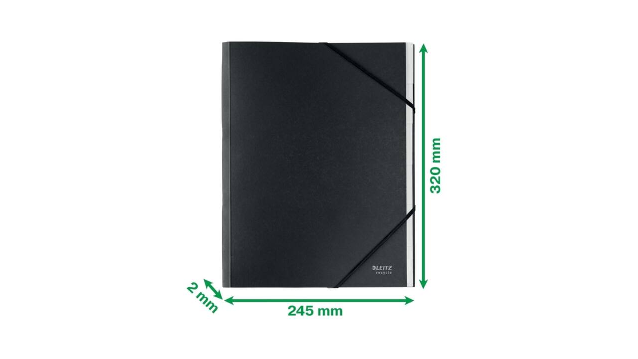 Sorteermap Leitz Recycle 6 tabs karton zwart