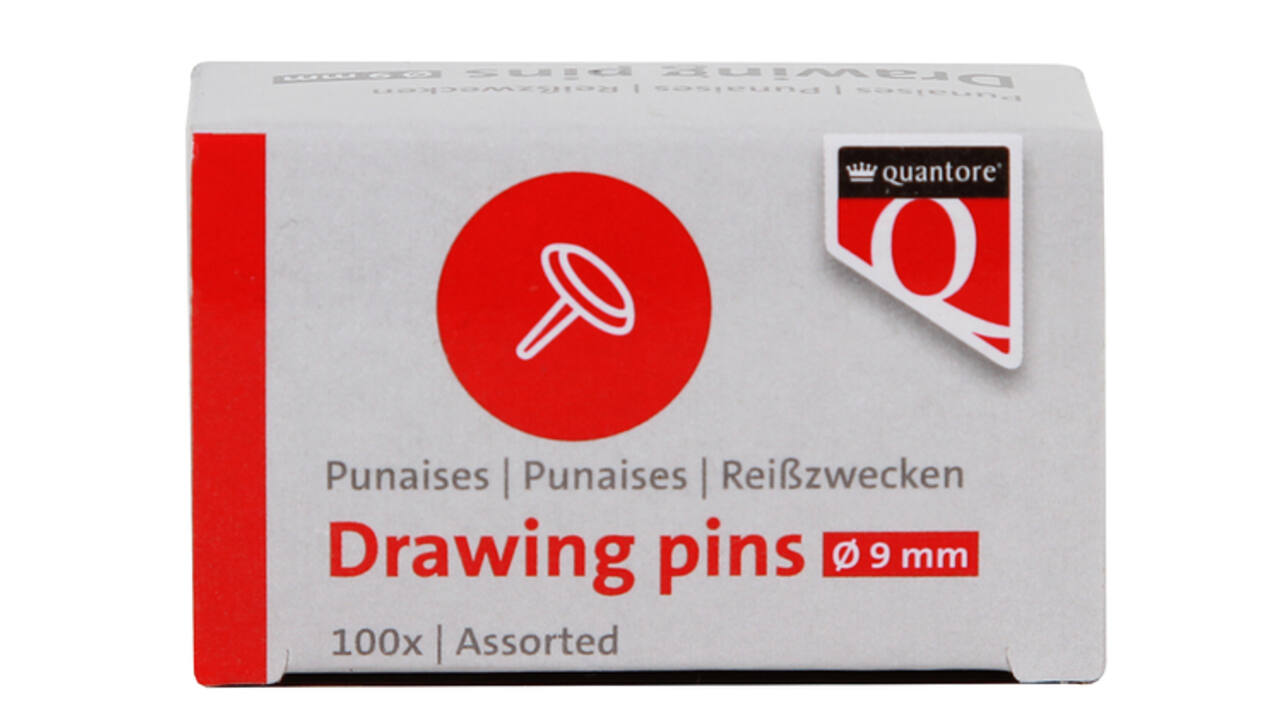 Punaises Quantore 100 stuks assorti