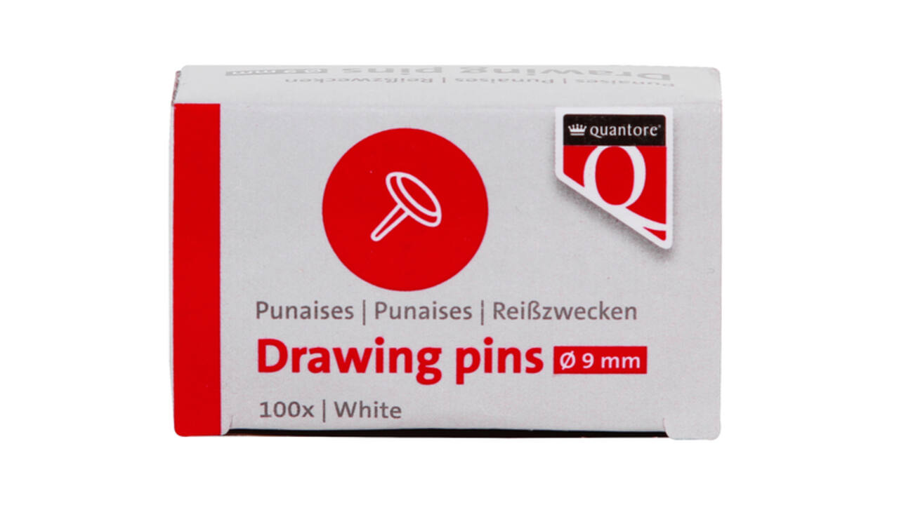 Punaises Quantore 100 stuks zilver