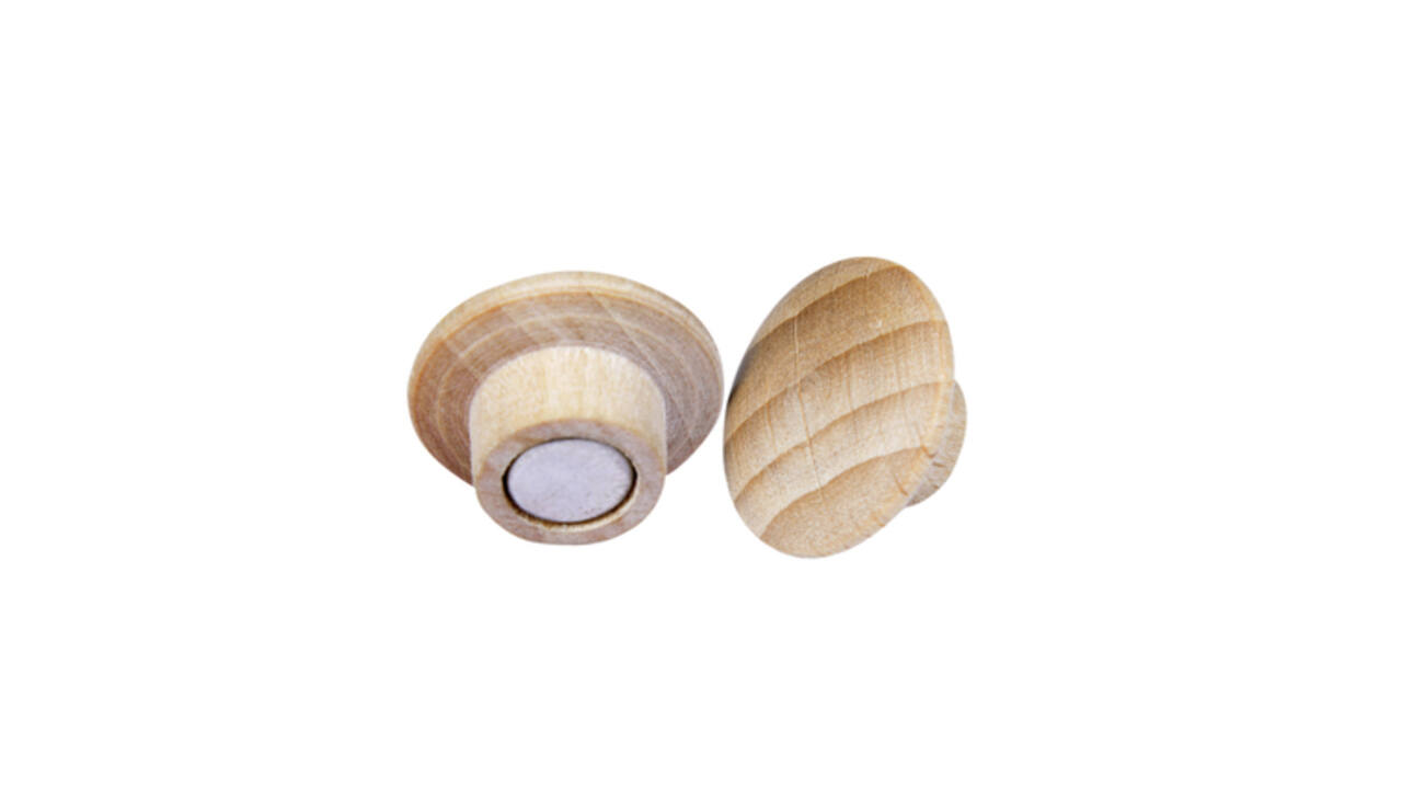 Magneet Legamaster hout 5 stuks