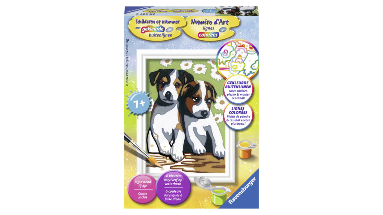 Schilderen op nummer Ravensburger Schattige puppies