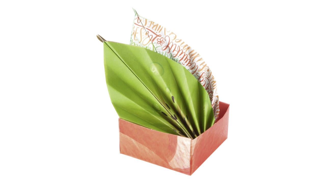 Vouwblaadjes Folia 80gr 15x15cm 50 vel 2-zijdig 10 tropical designs