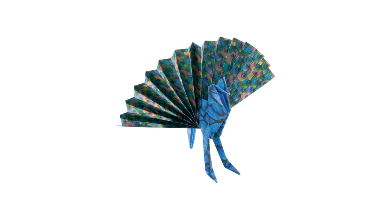 Vouwblaadjes Folia 80gr 15x15cm 50 vel 2-zijdig 10 wildlife designs