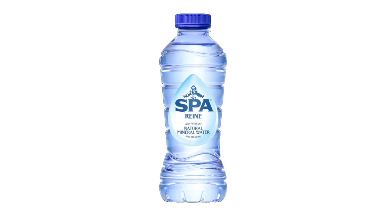 Water Spa Reine blauw petfles 330ml