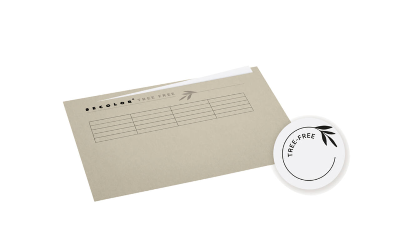 Vouwmap Djois Tree-Free folio ongelijk 226gr beige