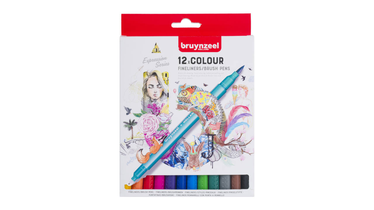Duotip Bruynzeel Expression fineliner en brushpen assorti 12 stuks