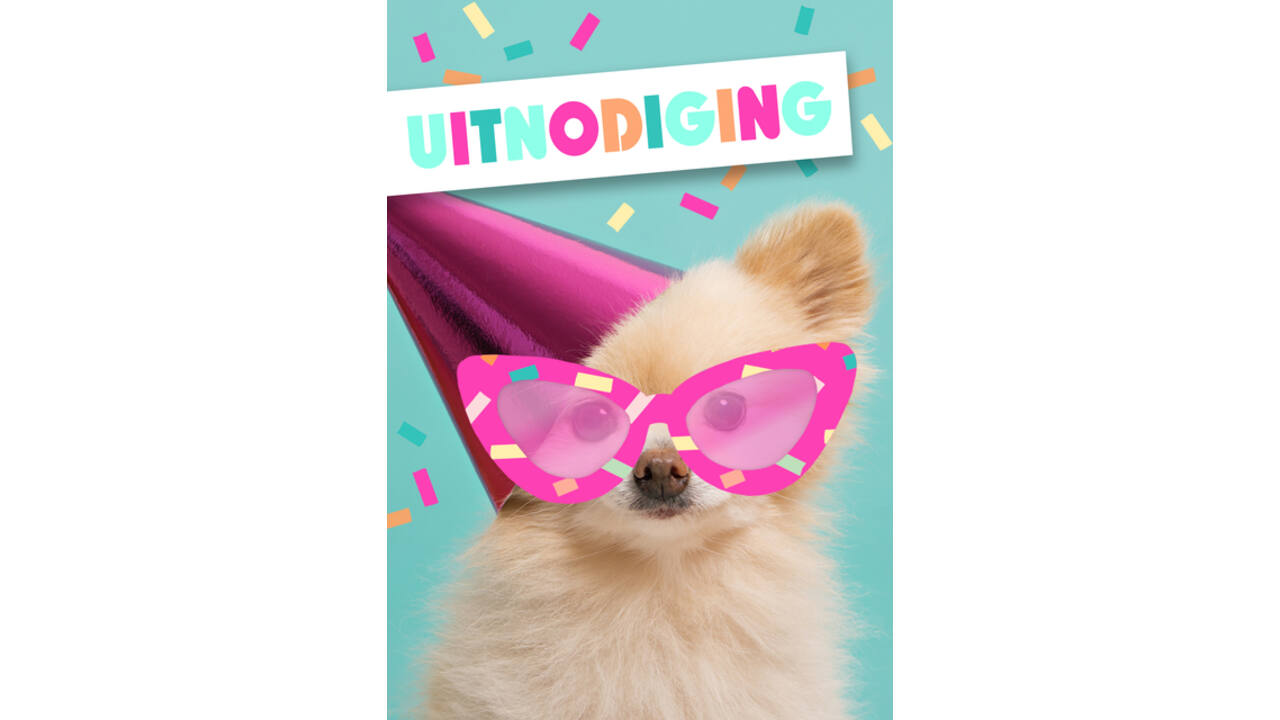 Wenskaart Hallmark uitnodiging hond met zonnebril pak à 5 stuks