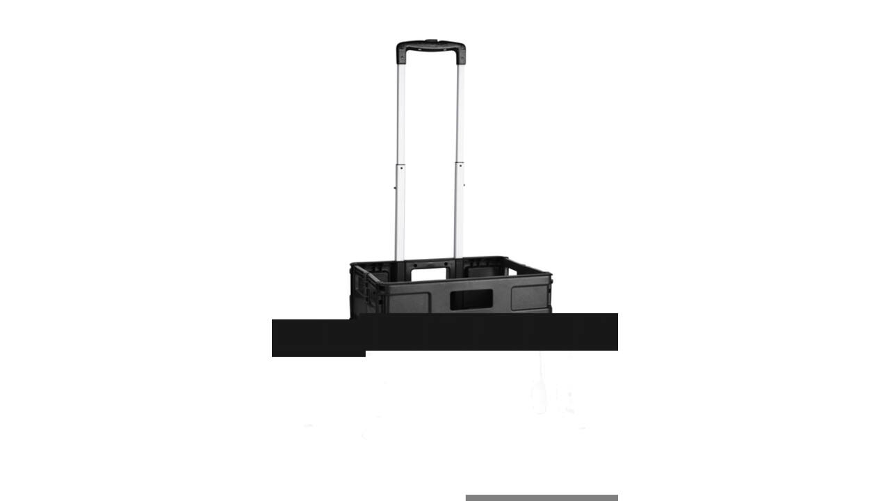Verrijdbaar krat Pavo opvouwbaar large 420x405x380mm
