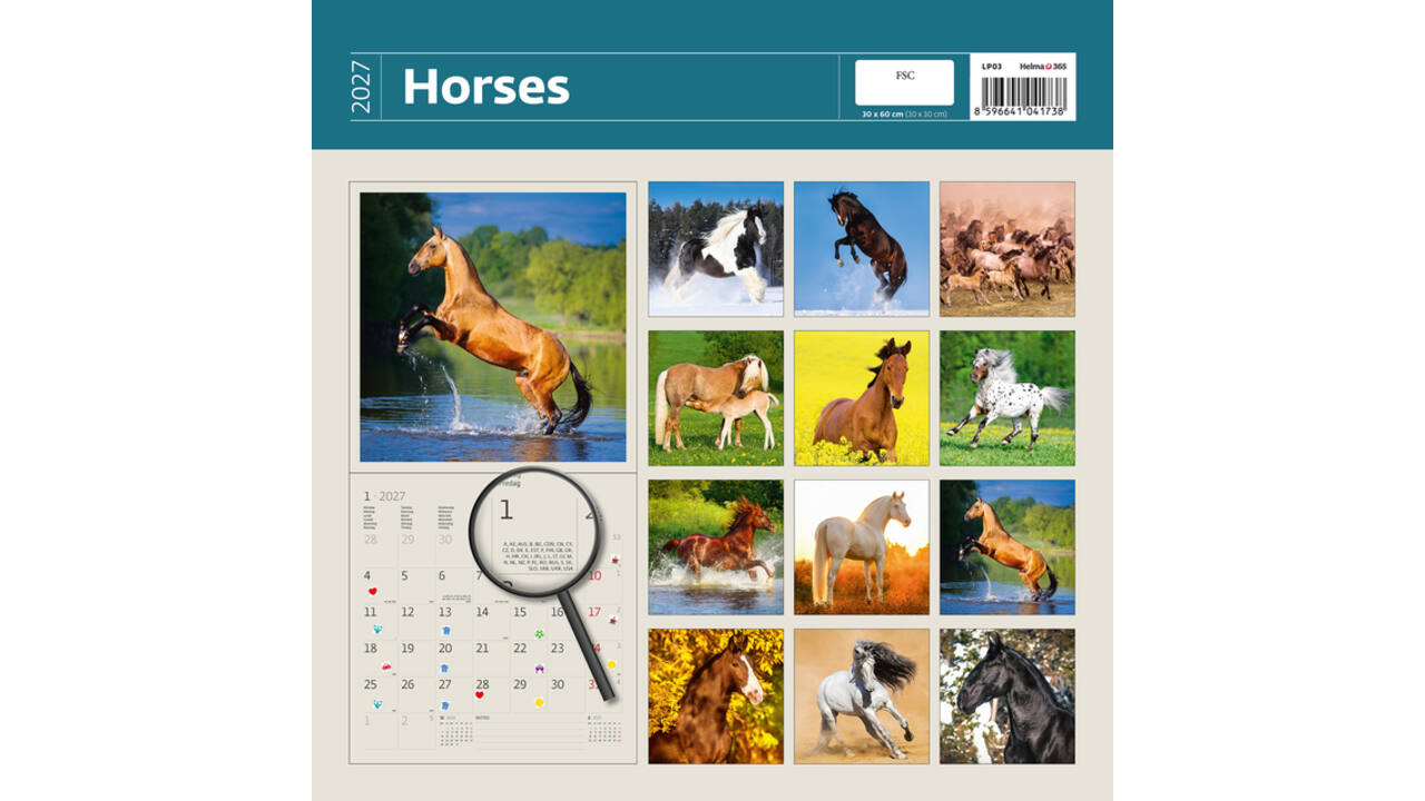 Kalender 2027 Helma 365 30x30cm paarden