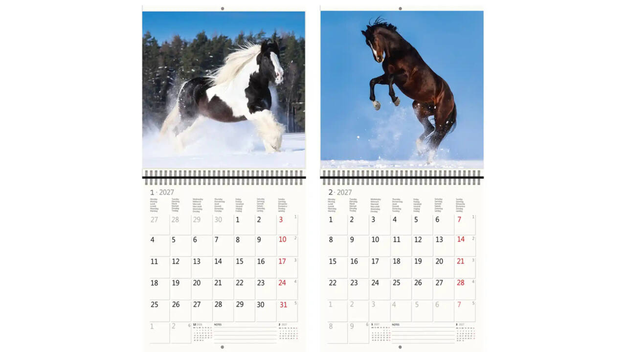 Kalender 2027 Helma 365 30x30cm paarden