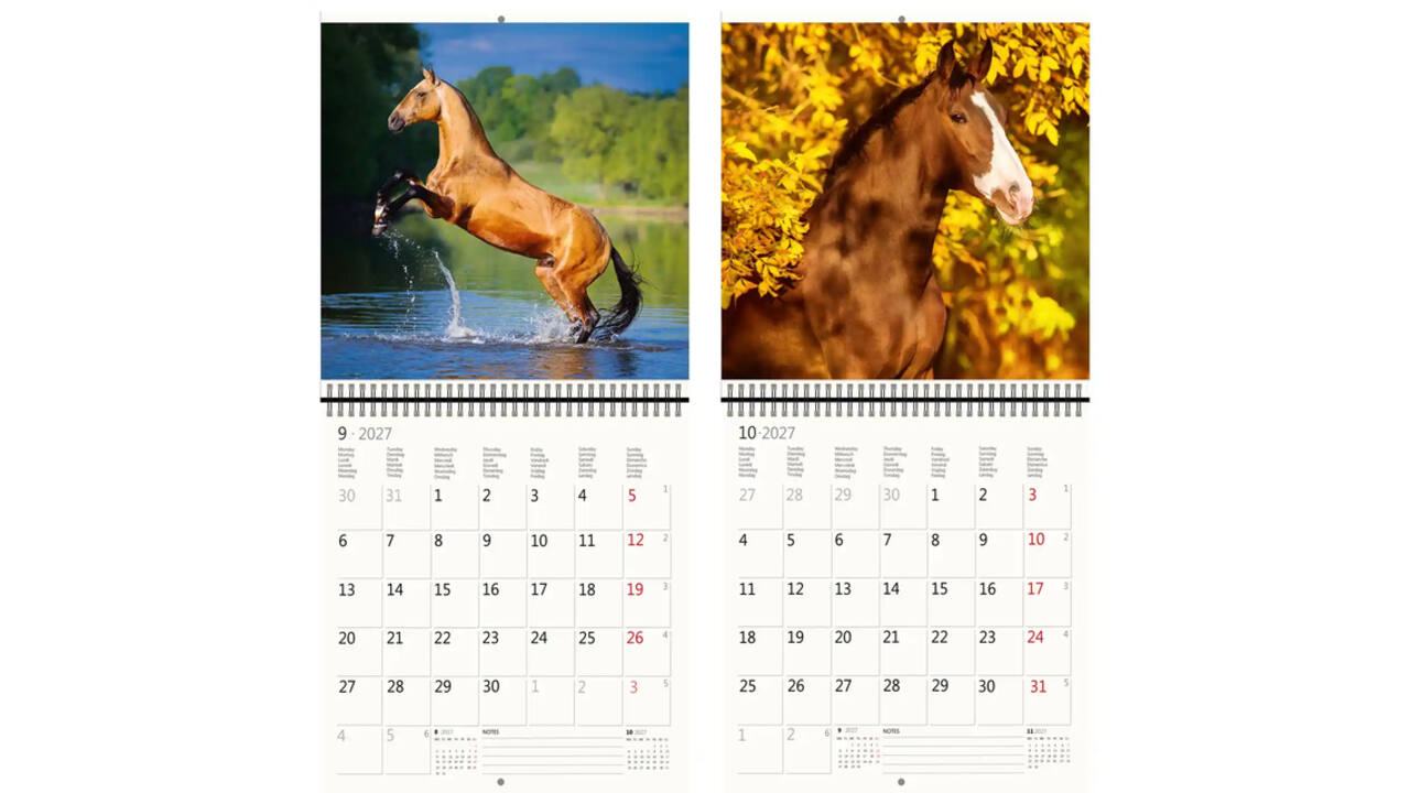 Kalender 2027 Helma 365 30x30cm paarden