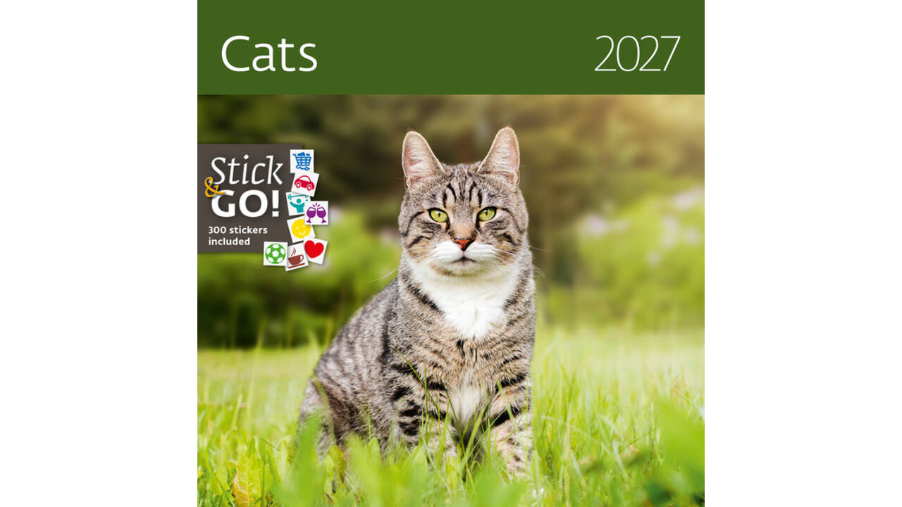 Kalender 2027 Helma 365 30x30cm katten