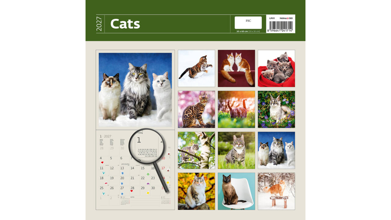 Kalender 2027 Helma 365 30x30cm katten