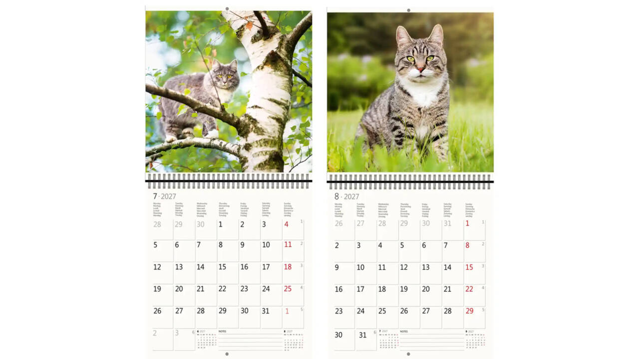 Kalender 2027 Helma 365 30x30cm katten