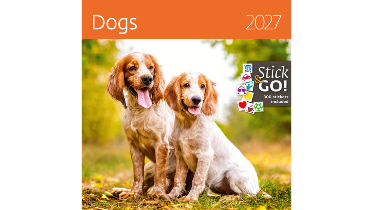 Kalender 2027 Helma 365 30x30cm honden