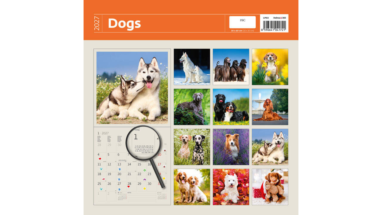 Kalender 2027 Helma 365 30x30cm honden