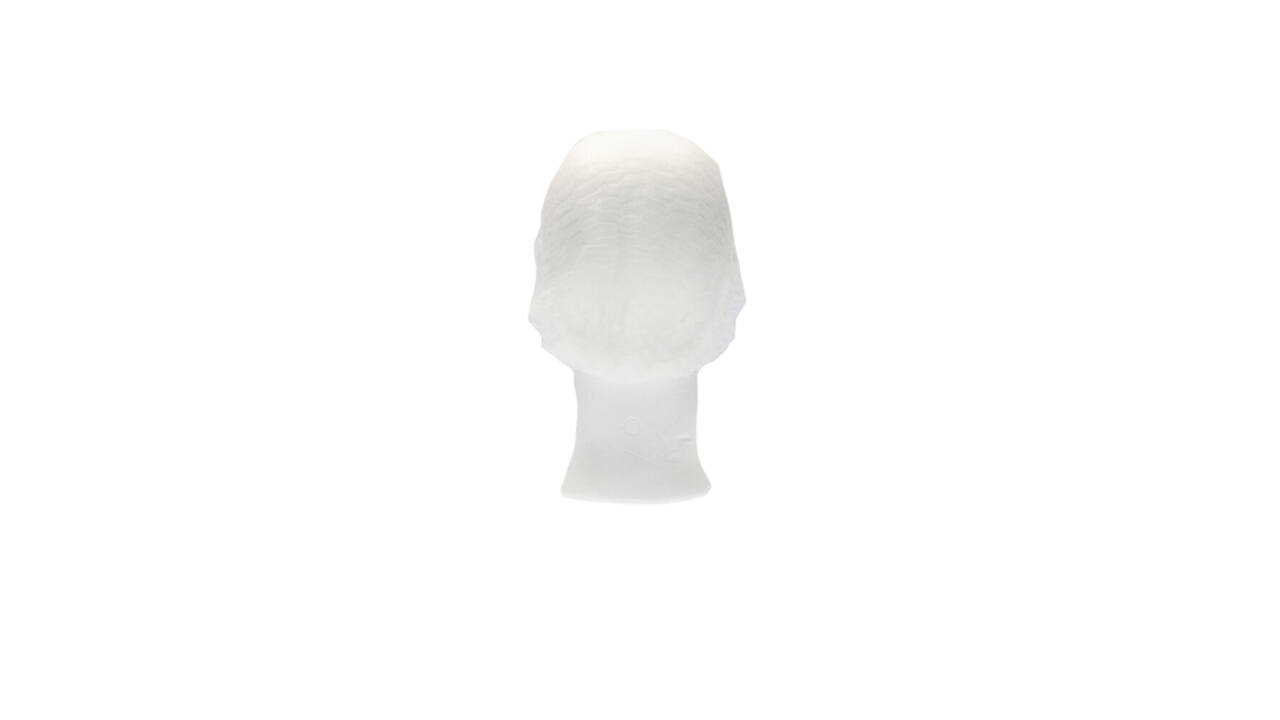 Haarnet CMT clip non-woven M 50cm PP wit 100 stuks