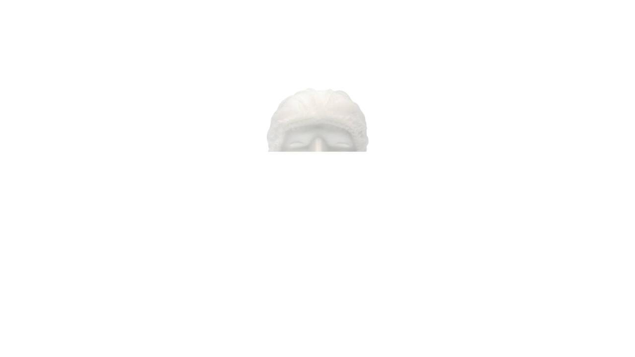Haarnet CMT clip non-woven L 53cm PP wit 100 stuks