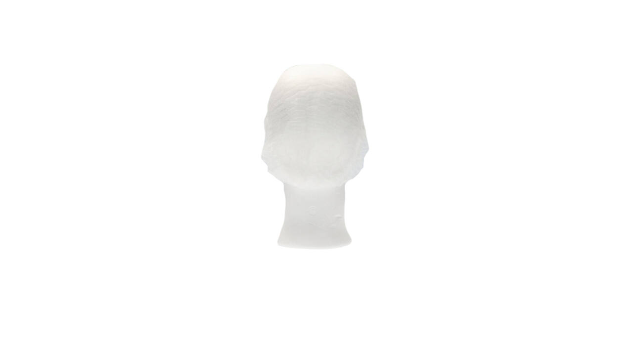 Haarnet CMT clip non-woven L 53cm PP wit 100 stuks