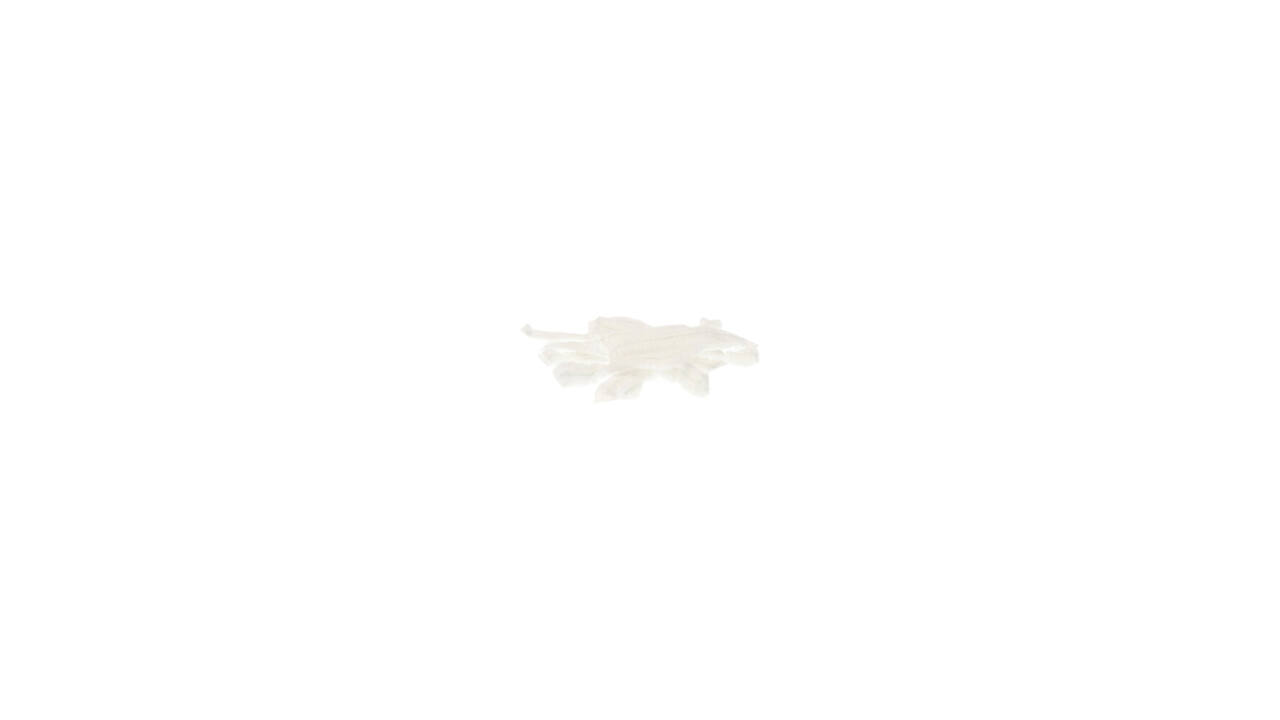 Haarnet CMT clip non-woven L 53cm PP wit 100 stuks