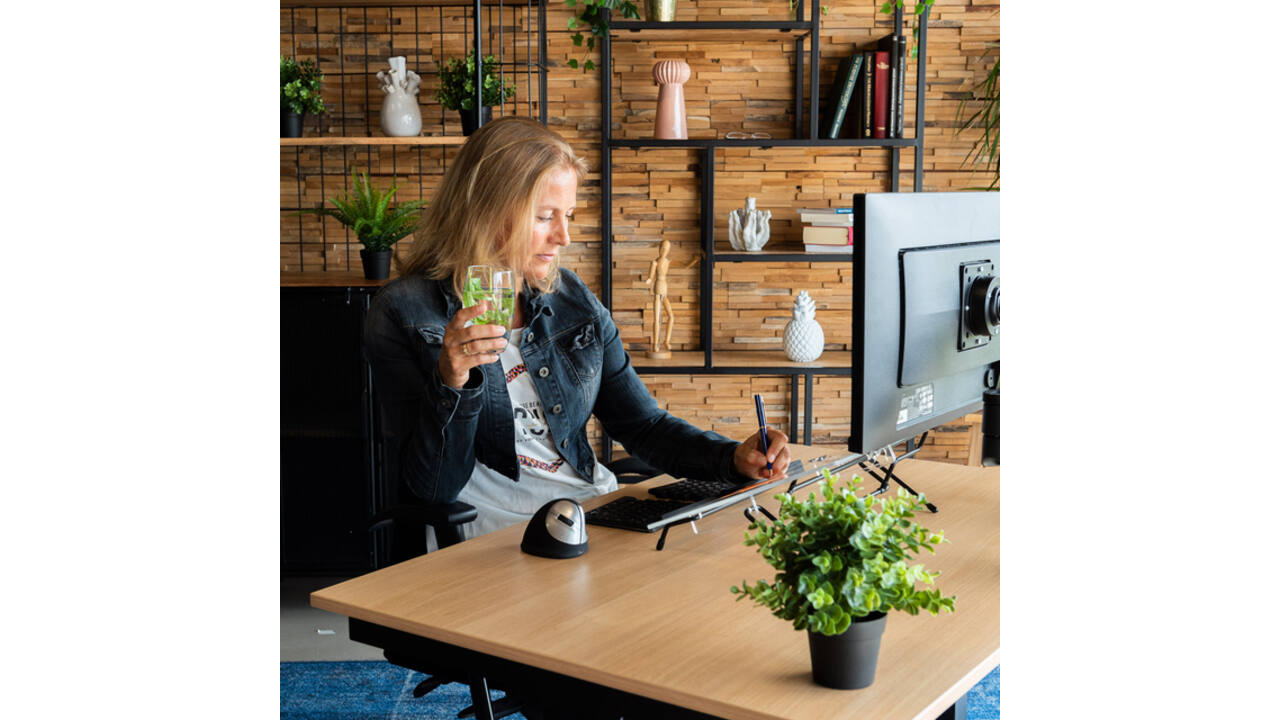 Documenthouder R-Go Flex Read Verstelbaar