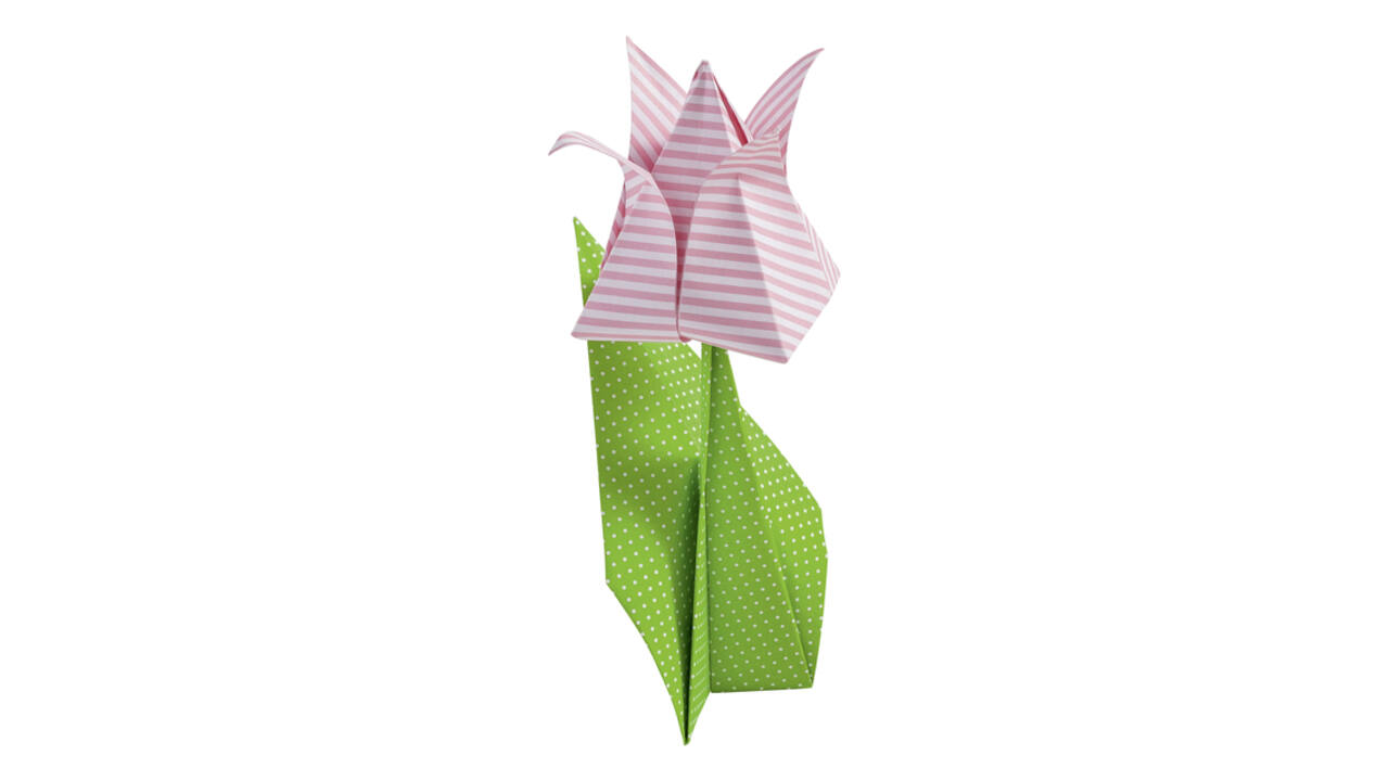 Vouwblaadjes Folia 80gr 20x20cm 50 vel 2-zijdig 10 basics designs