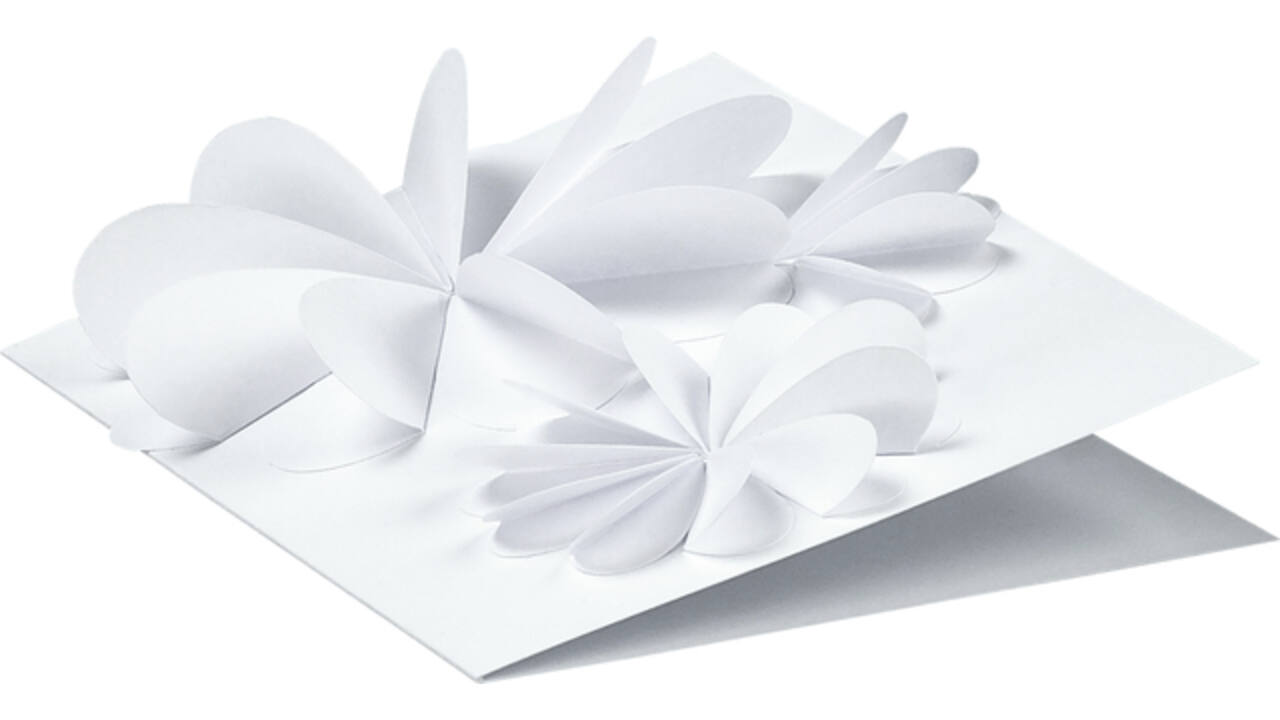 Fotokarton Folia 300gr 50x70cm 00 wit