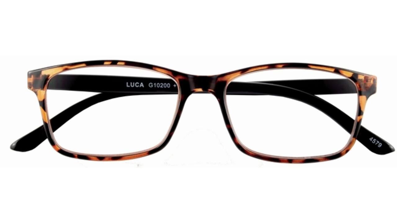 Leesbril I Need You +2.50 dpt Luca bruin
